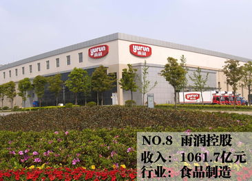 2013中國民企500強 蘇寧折桂，西安文欣評級背后藏著什么秘密？