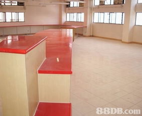 專業(yè)設(shè)計(jì)服務(wù) 以誠意為客戶打造理想空間